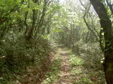 img0022.jpg