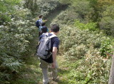 img0031.jpg