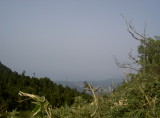 img0032.jpg