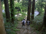 img0036.jpg