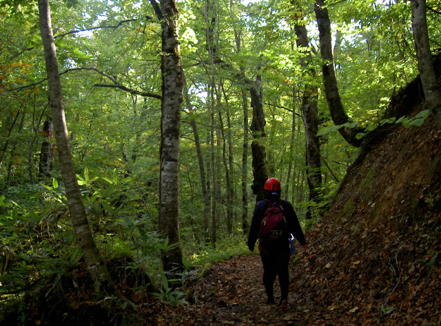 img0006.jpg