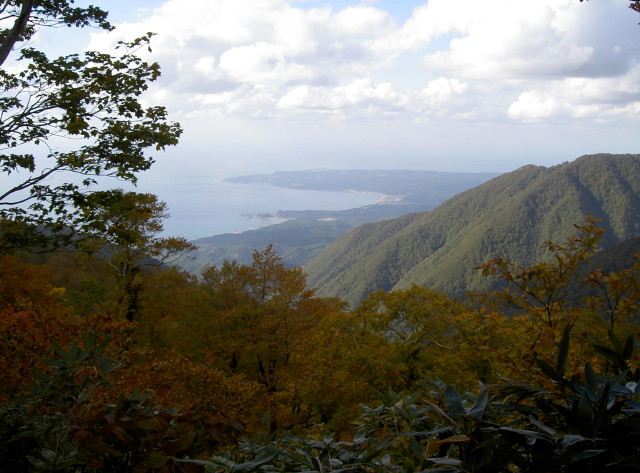 img0016.jpg