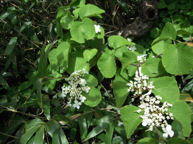 img0028.jpg