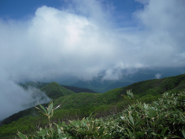 img0036.jpg