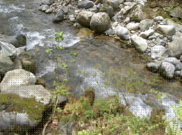 img0000.jpg