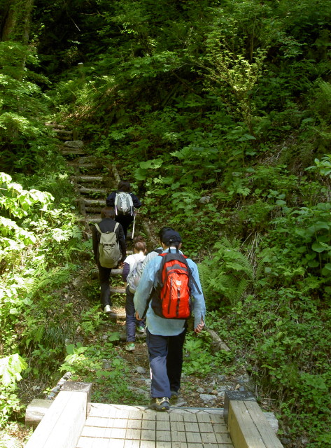 img0006.jpg