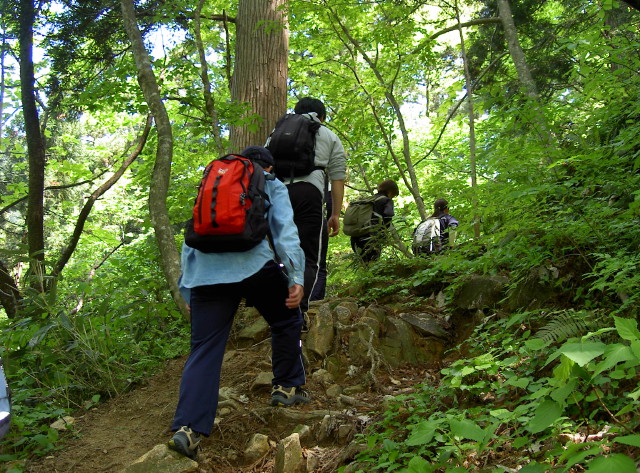 img0010.jpg