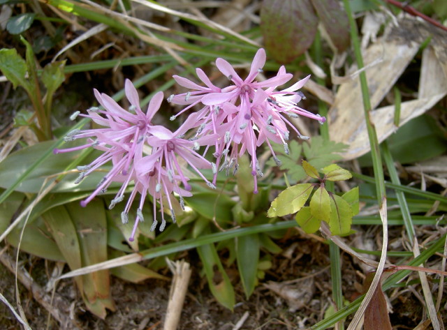 img0019.jpg