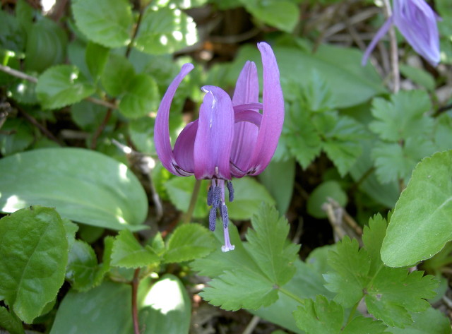 img0022.jpg