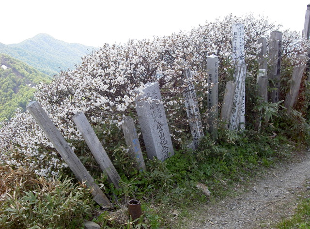 img0031.jpg