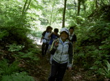 img0005.jpg