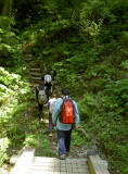img0006.jpg