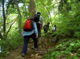 img0010.jpg