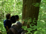 img0011.jpg