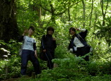 img0012.jpg