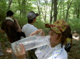 img0013.jpg