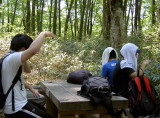 img0015.jpg
