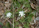 img0016.jpg