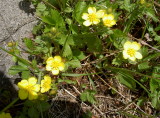 img0021.jpg