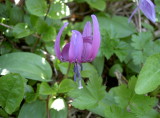 img0022.jpg