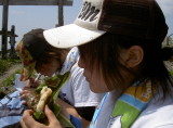 img0024.jpg