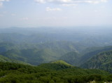 img0029.jpg