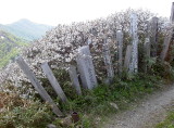 img0031.jpg