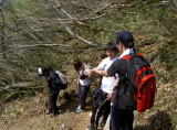 img0041.jpg