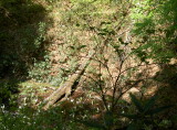 img0042.jpg