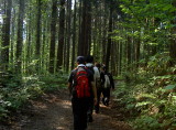img0043.jpg