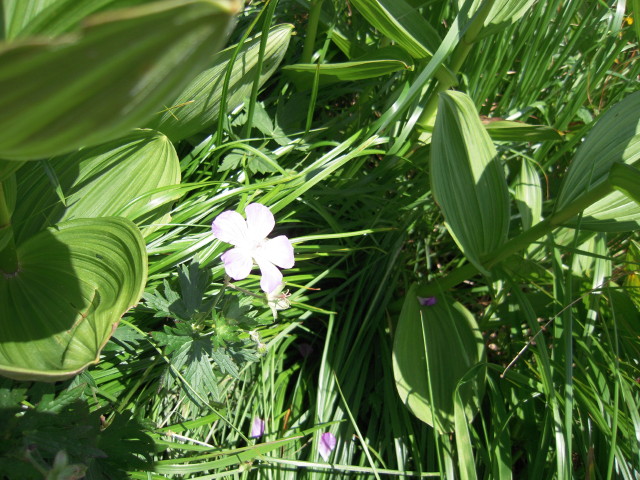 img0047.jpg
