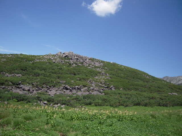 img0102.jpg