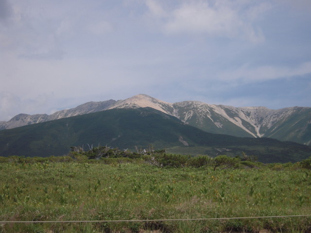 img0118.jpg