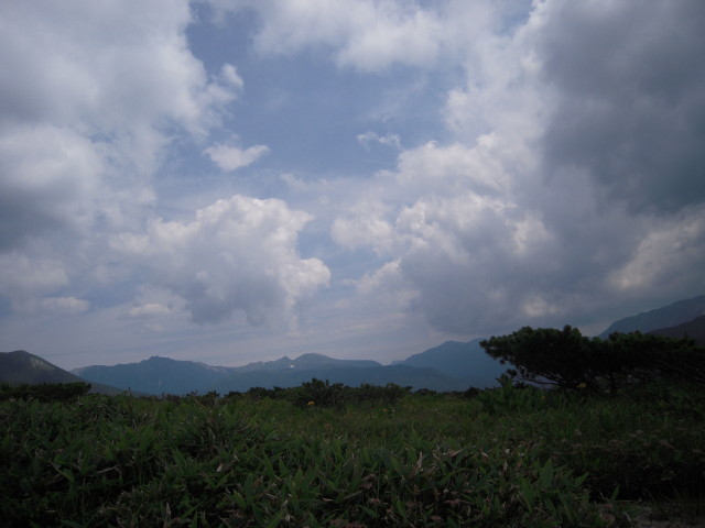 img0123.jpg
