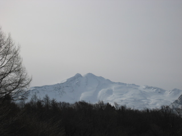 img0007.jpg