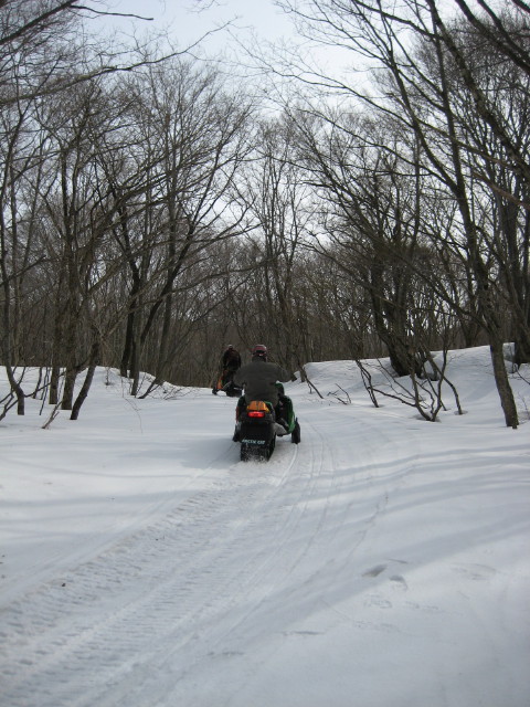 img0011.jpg