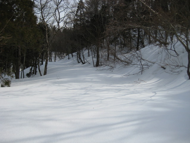 img0017.jpg