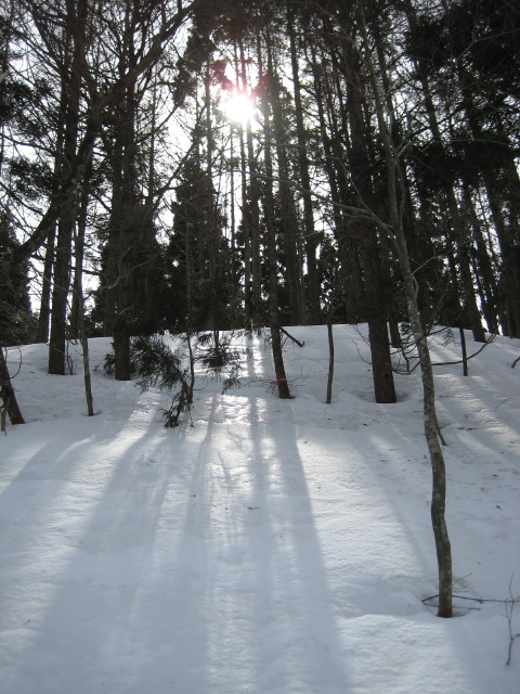 img0018.jpg