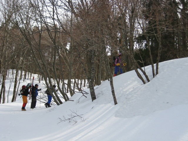 img0019.jpg