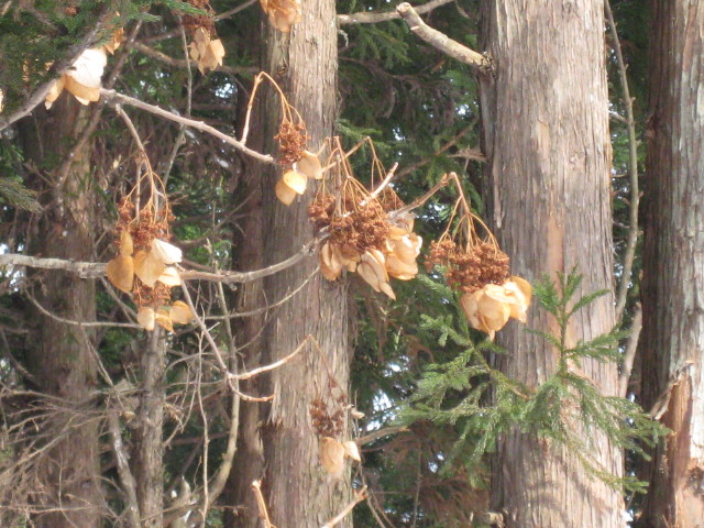 img0032.jpg