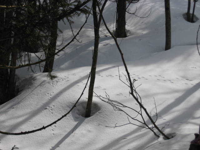 img0034.jpg
