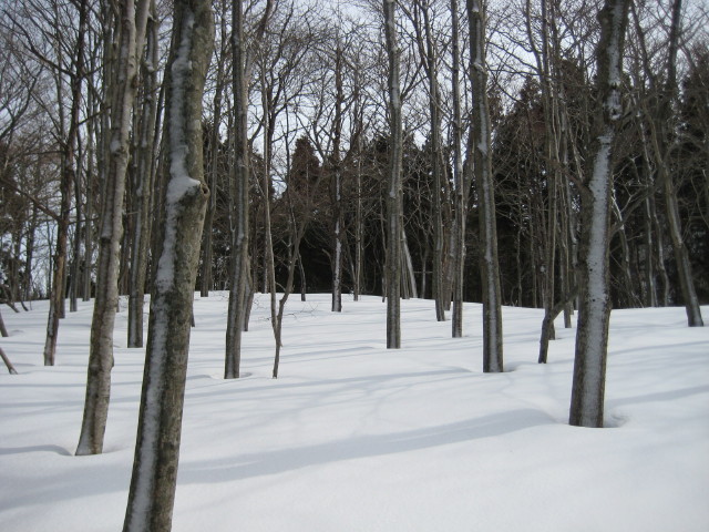 img0037.jpg