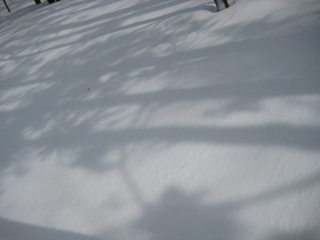 img0038.jpg