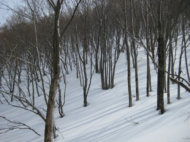 img0040.jpg