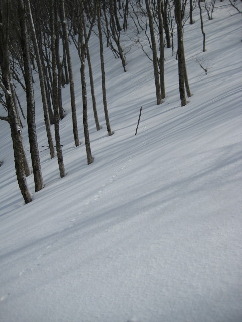 img0041.jpg