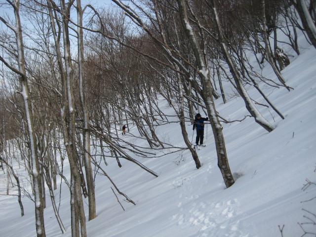 img0042.jpg