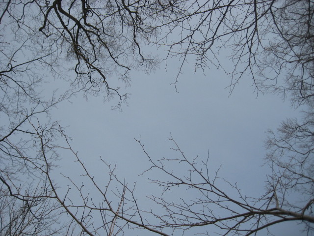 img0047.jpg