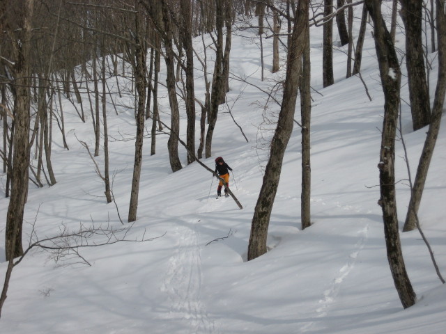 img0048.jpg