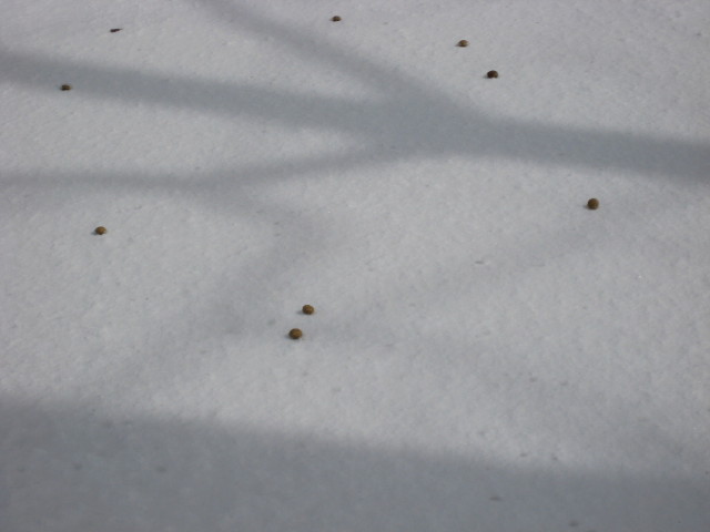 img0050.jpg