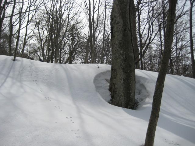 img0051.jpg
